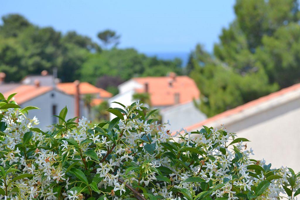 Apartments Zomzi Poreč Eksteriør bilde